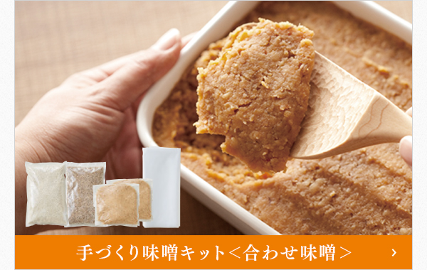 手づくり味噌キット＜合わせ味噌＞
