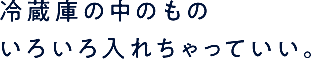 冷蔵庫の中のものいろいろ入れちゃっていい。